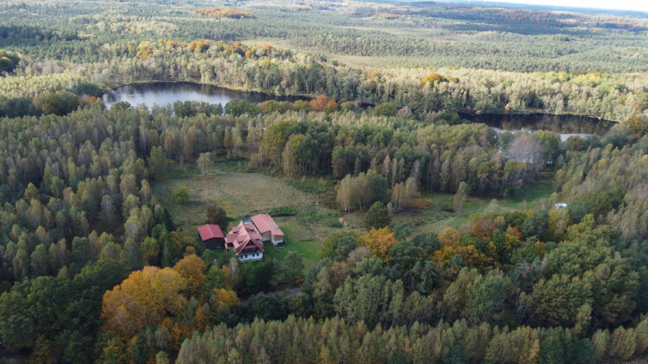 Dom Sprzedaż Brzeźno 38