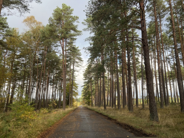 Mieszkanie Sprzedaż Borne Sulinowo kard. Stefana Wyszyńskiego 33
