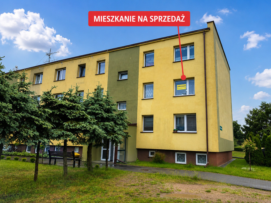 Mieszkanie Sprzedaż Koczała Zielona