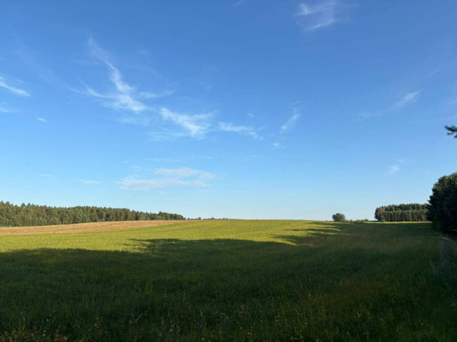 Działka Sprzedaż Spore 7